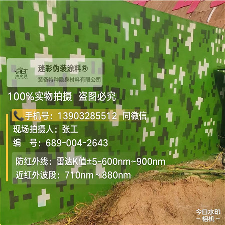 泰安星空迷彩漆，夏令营训练,数码迷彩作训墙,围墙